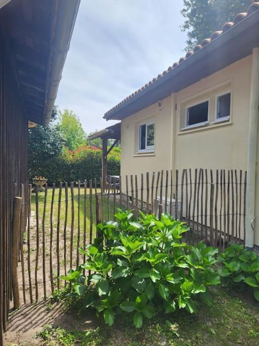 Villa La Petite Landaise Sanguinet Exterior foto